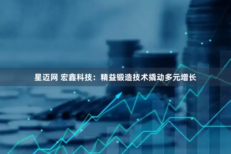星迈网 宏鑫科技：精益锻造技术撬动多元增长